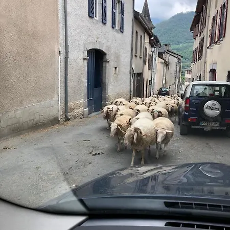 Au Coeur Des Pyrenees - Parking Gratuit Пьерфит-Несталас