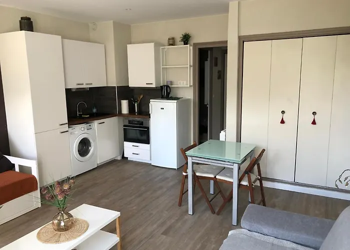 Au Coeur Des Pyrenees - Parking Gratuit Διαμέρισμα Pierrefitte-Nestalas