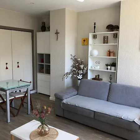 Daire Au Coeur Des Pyrenees - Parking Gratuit *